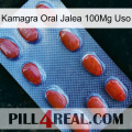 Kamagra Oral Jelly 100Mg Use 06